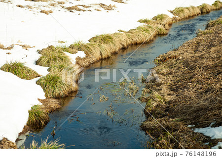River in early spring on the bank of snow. The snow melts with the arrival of heat near the banks of 76148196