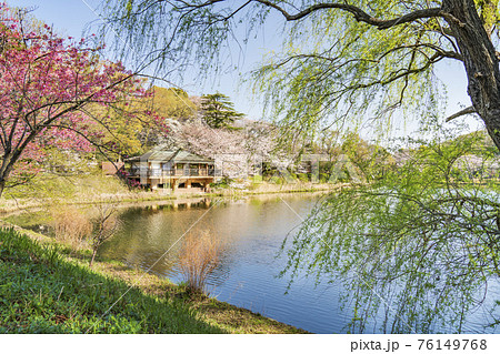 県立三ツ池公園の桜景色【日本さくら名所100選】 76149768