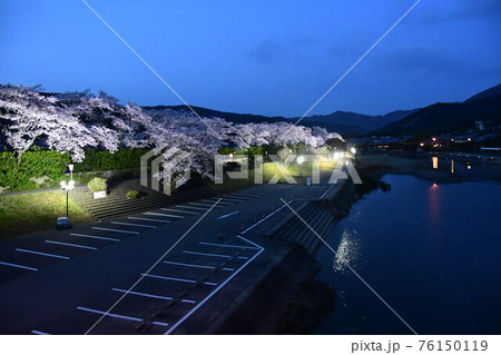 五十鈴川とさくら 五十鈴川とさくら 76150119