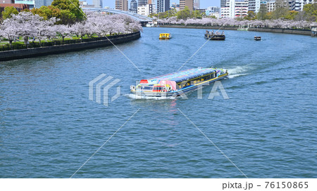 大阪・大川沿いの桜並木 76150865