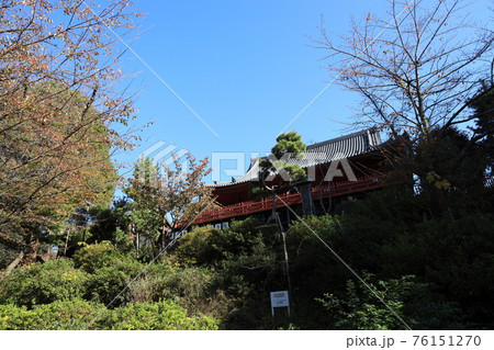 東京都台東区上野公園の清水観音堂の秋の風景 東京都台東区上野公園の清水観音堂の秋の風景 76151270