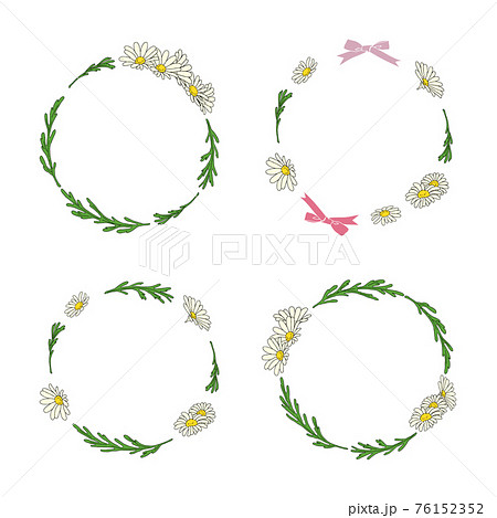 マーガレット フレーム 花 フレーム 枠 素材 植物のイラスト素材