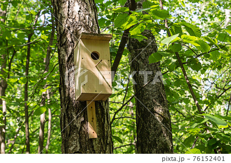 wooden birdhouse mounted on a tree trunk, taking care of the birds 76152401