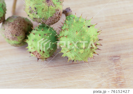 branch with green chestnuts on wooden background close up 76152427