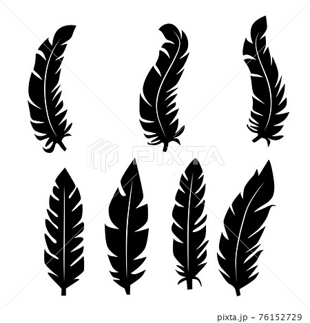 illustration of an old feather. Feather feather silhouette. Retro image of letter with feather icon. illustration of an old feather. Feather feather silhouette. Retro image of letter with feather icon. 76152729