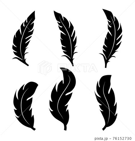 Collection of feather illustration, drawing, engraving, ink line art Collection of feather illustration, drawing, engraving, ink line art 76152730