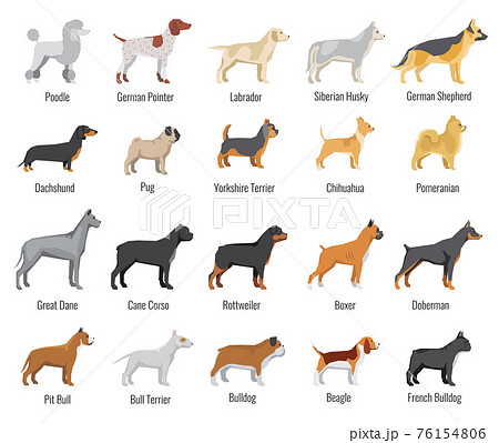 Dogs breed flat icons set Dogs breed flat icons set 76154806