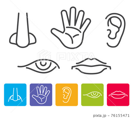 Five human senses smell, sight, hearing, taste, touch icons 76155471