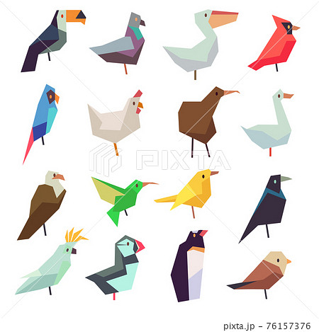 Birds in flat style collection 76157376