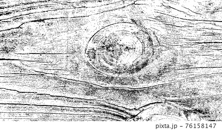 Wood tree nature texture background 76158147