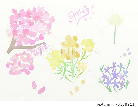 春の花の水彩画 76158811