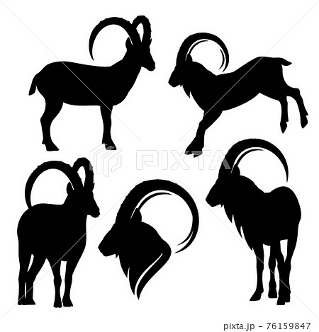 alpine ibex mountain goat black and white vector silhouette set 76159847