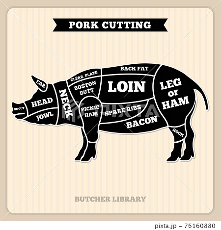 Pork, pig meat cutting vintage chart, cuts guide diagram Pork, pig meat cutting vintage chart, cuts guide diagram 76160880