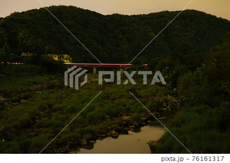ホタルの飛ぶ風景 76161317