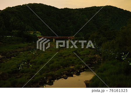 ホタルの飛ぶ風景 76161325