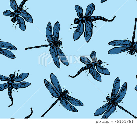 Dragonfly. Vector drawing 76161761
