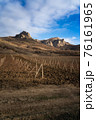 Winter sunset in the vineyard of Crimea. Moody sky 76161965