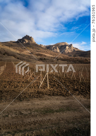 Winter sunset in the vineyard of Crimea. Moody sky 76161965
