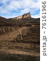 Winter sunset in the vineyard of Crimea. Moody sky 76161966