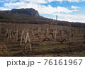 Winter sunset in the vineyard of Crimea. Moody sky 76161967