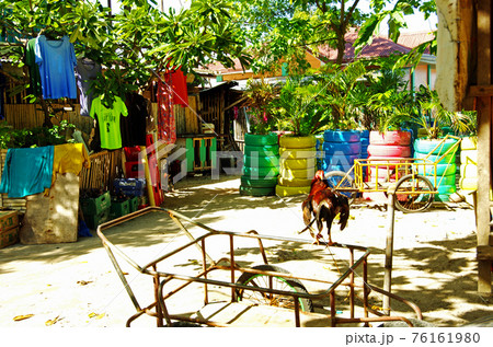 カオハガン島の島内散策 76161980