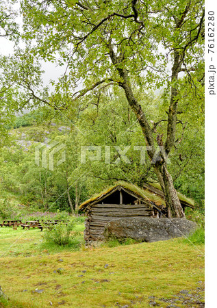 Scandinavian traditional house with green roof 76162280