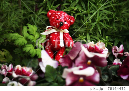 赤い子熊の置かれた小さな花壇 赤い子熊の置かれた小さな花壇 76164452