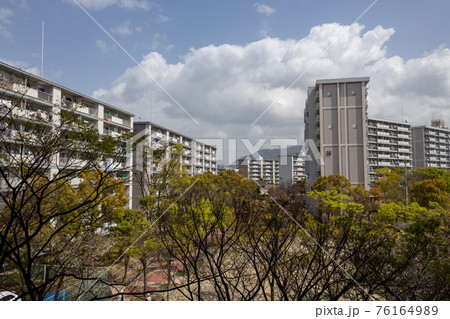 UR醍醐石田団地の春の風景 UR醍醐石田団地の春の風景 76164989