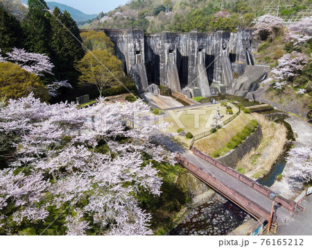 桜と豊稔池ダム 桜と豊稔池ダム 76165212