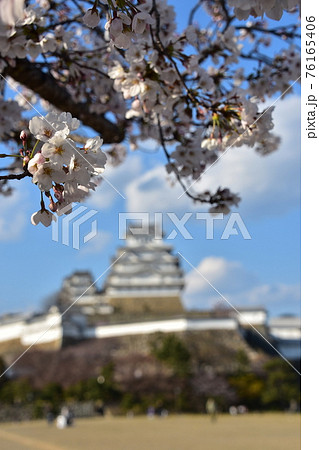日本の兵庫県の姫路市 世界遺産で国宝でもある姫路城 春の桜と青空と立派な天守閣 日本の兵庫県の姫路市 世界遺産で国宝でもある姫路城 春の桜と青空と立派な天守閣 76165406