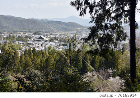 二尊院　時雨亭跡から嵯峨野遠望　京都市嵯峨野 76165914