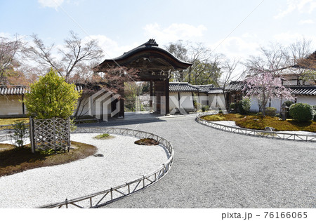 二尊院 前庭と勅使門 京都市嵯峨野 二尊院 前庭と勅使門 京都市嵯峨野 76166065