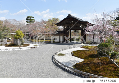 二尊院　前庭と勅使門　京都市嵯峨野 76166066