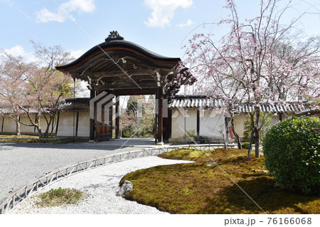 二尊院 前庭と勅使門 京都市嵯峨野 二尊院 前庭と勅使門 京都市嵯峨野 76166068