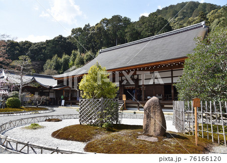 二尊院　前庭と本堂　京都市嵯峨野 76166120