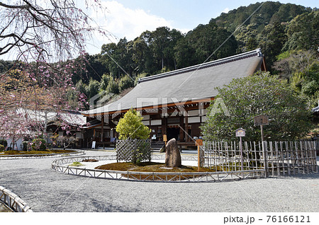 二尊院　前庭と本堂　京都市嵯峨野 76166121