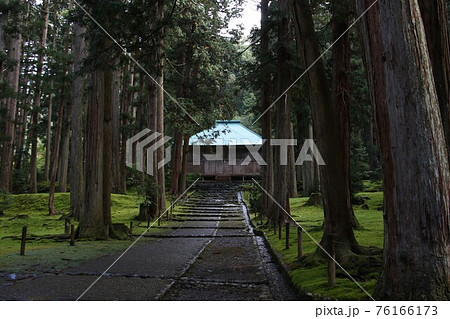 栄華のあと苔むす平泉寺白山神社 栄華のあと苔むす平泉寺白山神社 76166173