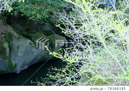 岩の隙間を流れる静かな川 岩の隙間を流れる静かな川 76166185