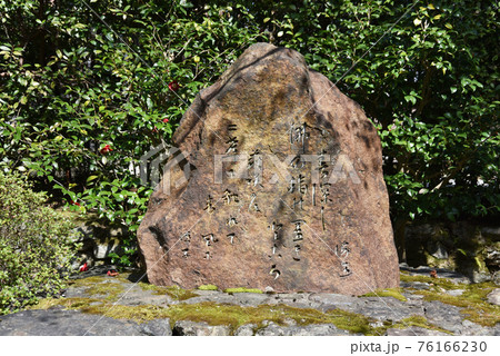 二尊院　参道の歌碑　京都市嵯峨野 76166230