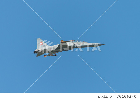 スイス空軍F-5EタイガーⅡ戦闘機 76166240