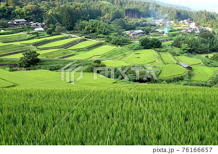 恵那市坂折棚田 76166657