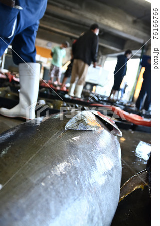 早朝のセリ市場 早朝のセリ市場 76166766