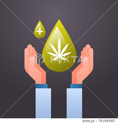 Hands Holding Cbd Hemp Oil Drop Extracted From のイラスト素材