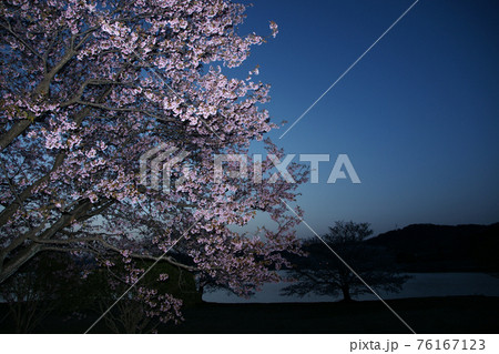 鳥取　四季の散歩　春　青島　夜明け 76167123