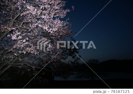鳥取　四季の散歩　春　青島　夜明け 76167125