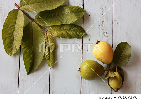 グヮバ イメージ 76167376