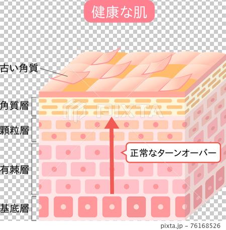 周轉橫截面 3D 76168526