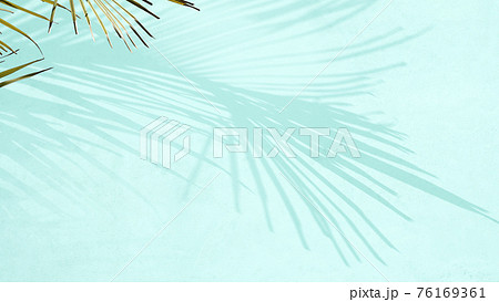 さわやかな植物の影のイメージ素材- 複数のバリエーションがあります さわやかな植物の影のイメージ素材- 複数のバリエーションがあります 76169361