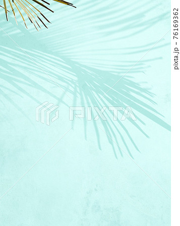 さわやかな植物の影のイメージ素材- 複数のバリエーションがあります 76169362