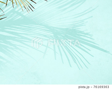 さわやかな植物の影のイメージ素材- 複数のバリエーションがあります 76169363